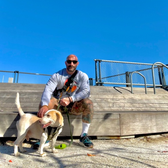 Meet your Posher, Domenico - Picture 2 of 8